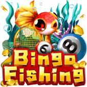 Bingo Fishing at 711ph
